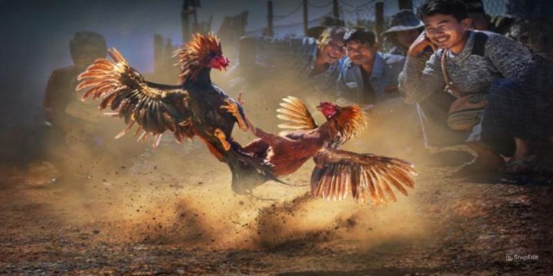 Kinh nghiệm lựa chọn kèo phù hợp